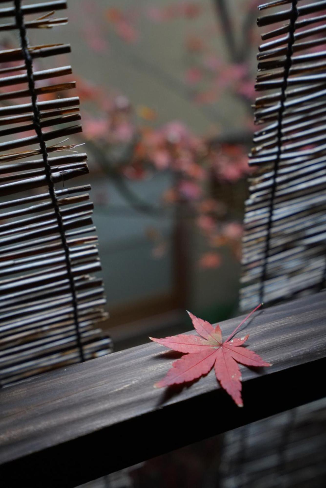 Ryokan Tori Kyoto Ngoại thất bức ảnh