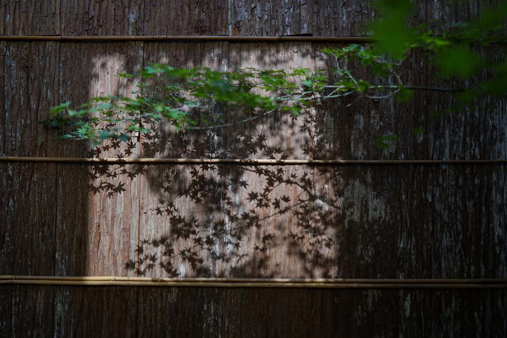 Ryokan Tori Kyoto Ngoại thất bức ảnh